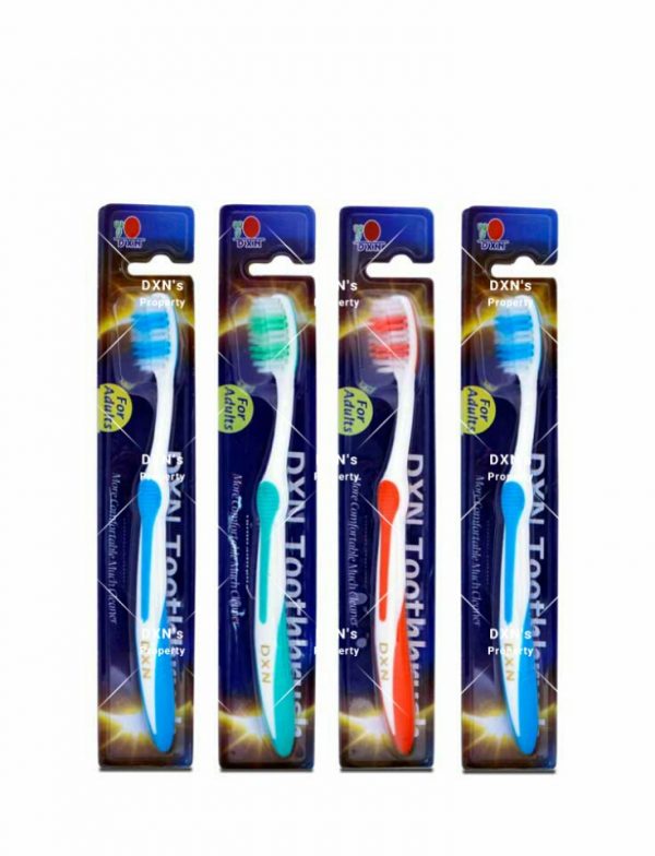 DXN Toothbrush (For Adults) – DXN Products in South Africa